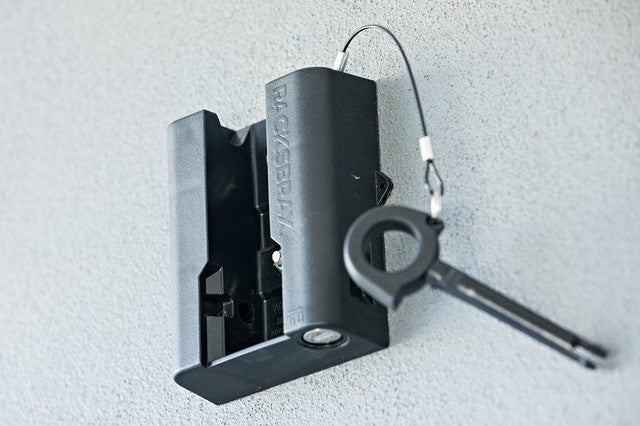 Racksbrax HD Lockable Wall Mount [R]