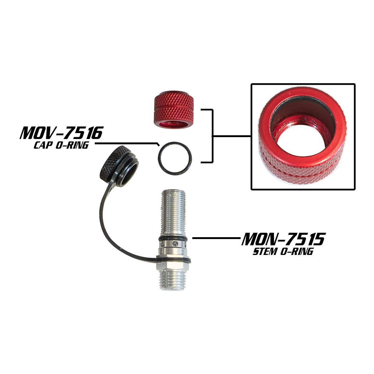 Monster Valve™ Rebuild Kit (x5)